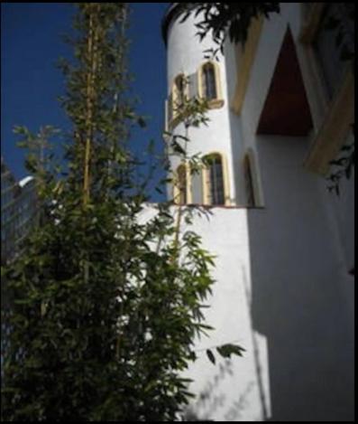 Welcome To Casa Viva Mexico 3-Bedrooms 2-Bathroms 6-Guests Close To Shoping Center & Beach Tijuana Exterior foto